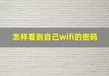 怎样看到自己wifi的密码