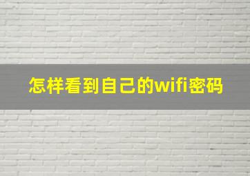 怎样看到自己的wifi密码