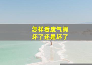 怎样看废气阀坏了还是坏了