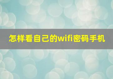 怎样看自己的wifi密码手机