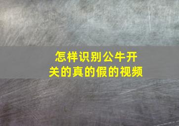 怎样识别公牛开关的真的假的视频