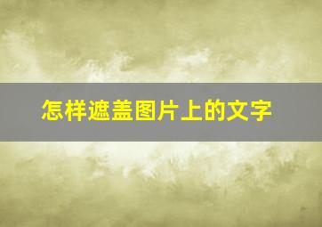 怎样遮盖图片上的文字