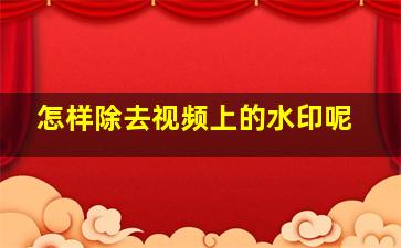 怎样除去视频上的水印呢