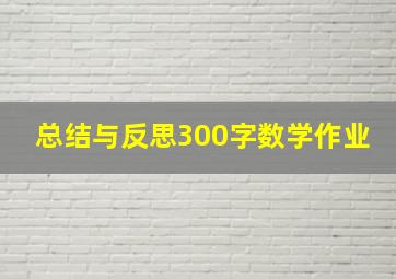 总结与反思300字数学作业