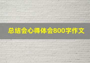 总结会心得体会800字作文