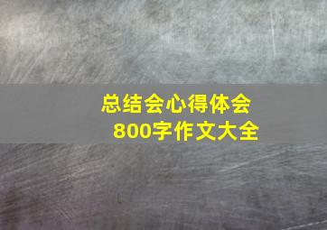 总结会心得体会800字作文大全