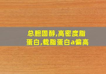 总胆固醇,高密度脂蛋白,载脂蛋白a偏高