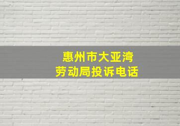 惠州市大亚湾劳动局投诉电话