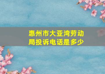 惠州市大亚湾劳动局投诉电话是多少