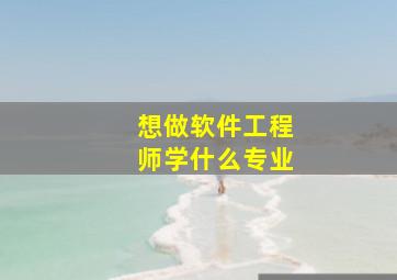 想做软件工程师学什么专业