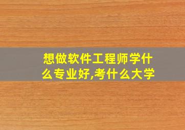 想做软件工程师学什么专业好,考什么大学