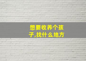 想要收养个孩子,找什么地方