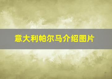 意大利帕尔马介绍图片