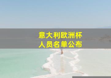 意大利欧洲杯人员名单公布