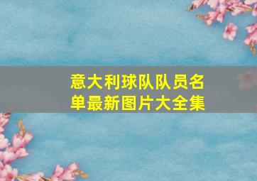 意大利球队队员名单最新图片大全集