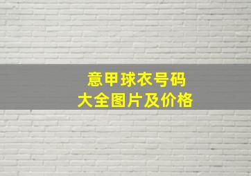 意甲球衣号码大全图片及价格