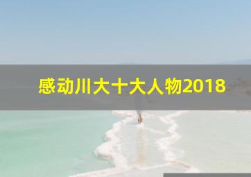 感动川大十大人物2018