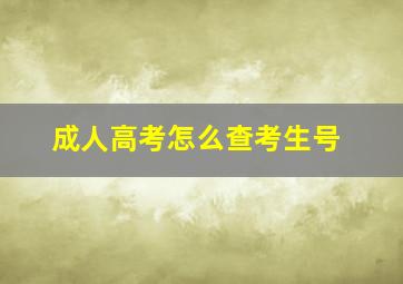 成人高考怎么查考生号