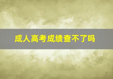 成人高考成绩查不了吗