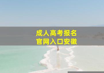 成人高考报名官网入口安徽