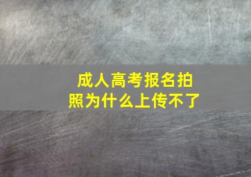 成人高考报名拍照为什么上传不了