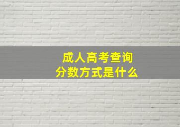 成人高考查询分数方式是什么