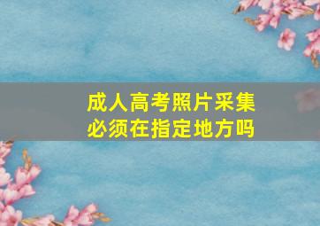 成人高考照片采集必须在指定地方吗