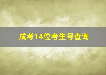 成考14位考生号查询