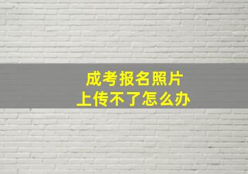 成考报名照片上传不了怎么办