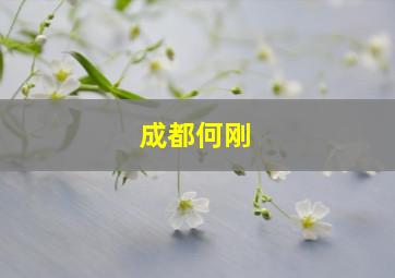 成都何刚