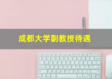 成都大学副教授待遇