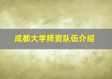 成都大学师资队伍介绍