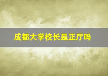 成都大学校长是正厅吗