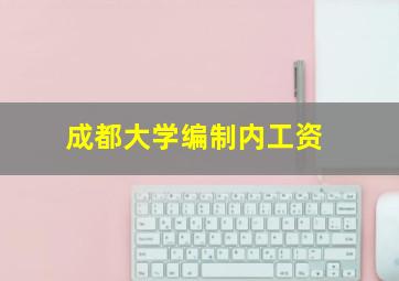 成都大学编制内工资