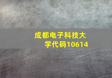 成都电子科技大学代码10614