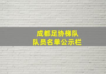 成都足协梯队队员名单公示栏