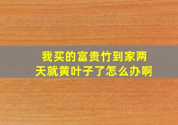 我买的富贵竹到家两天就黄叶子了怎么办啊