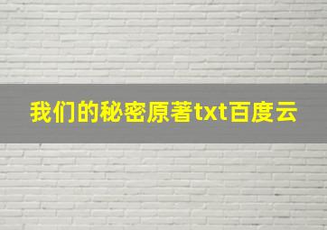 我们的秘密原著txt百度云