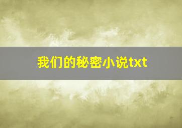 我们的秘密小说txt