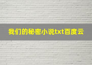 我们的秘密小说txt百度云