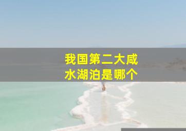 我国第二大咸水湖泊是哪个