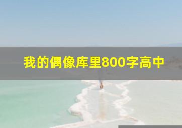 我的偶像库里800字高中