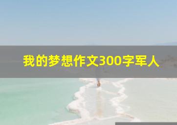 我的梦想作文300字军人