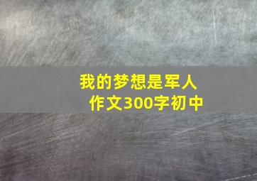 我的梦想是军人作文300字初中