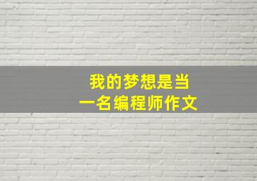 我的梦想是当一名编程师作文