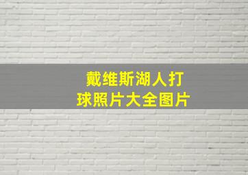 戴维斯湖人打球照片大全图片