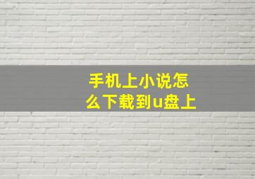 手机上小说怎么下载到u盘上