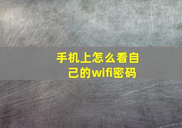 手机上怎么看自己的wifi密码