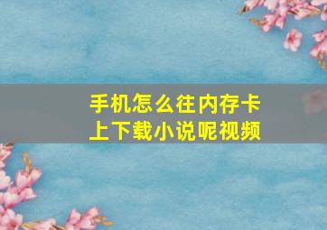 手机怎么往内存卡上下载小说呢视频