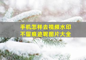 手机怎样去视频水印不留痕迹呢图片大全